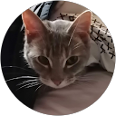 Luke C profile picture
