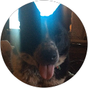 Paul Smith profile picture