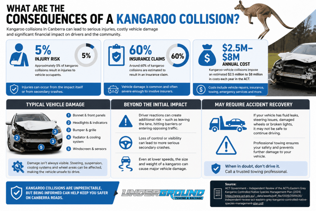 What Are the Consequences of a Kangaroo Collision